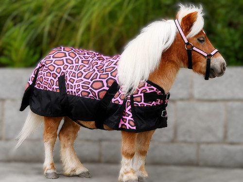 Regendecke pink gira - pink,