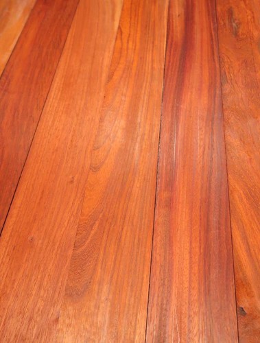 Padouk holz paduk - padouk,