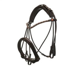 Horsecode Kandare Sunlight