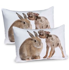 Chihuahua-Welpe mit Kaninchen