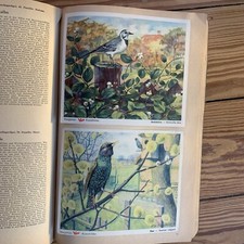 VOSS Kunstbilder Band 2