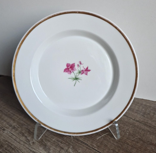 Biedermeier porzellan teller - porzellan,