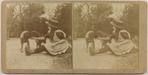 Mädchen mit zwei hunden foto - mit,