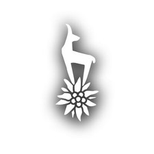 Bergsteiger Gams Edelweiss