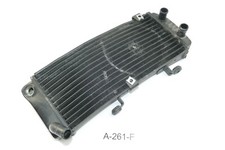 Hyosung GV 300 S Adler Bj 2019 - Wasserkühler Wasserkühler gebogen A261F