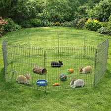 Freilaufgehege Welpenauslauf