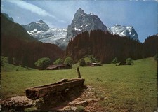 Rosenlaui BE Panorama Brunnentrog