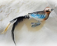 ❀ Eichelhäher Glasvogel