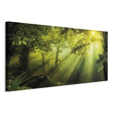 WALD LANDSCHAFT Wandbild Groß