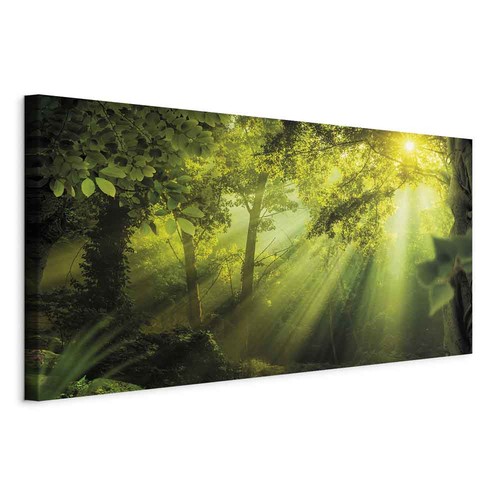 Wald landschaft wandbild - wald,