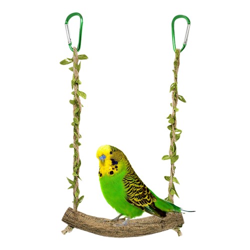 Haustier papagei vogel gras - papagei,