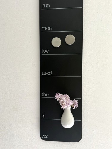 Magnetische mini vase - magnetische,