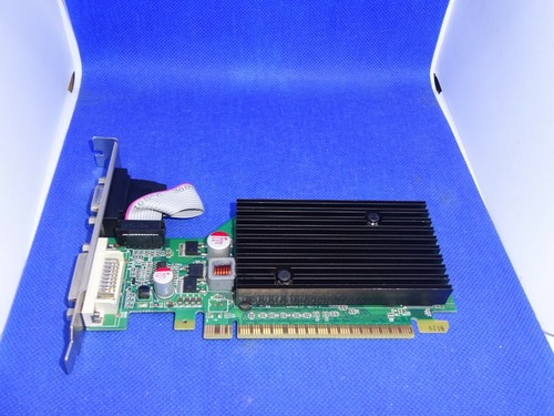 Evga geforce 8400 256mb - evga,