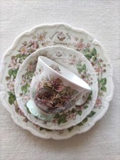 Kaffegedeck Brambly Hedge "Summer" (Sommer) von Royal Doulton
