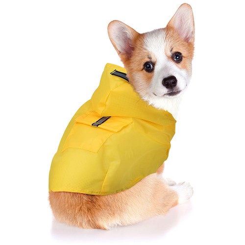 Regenjacke hund gelb mops - hund,