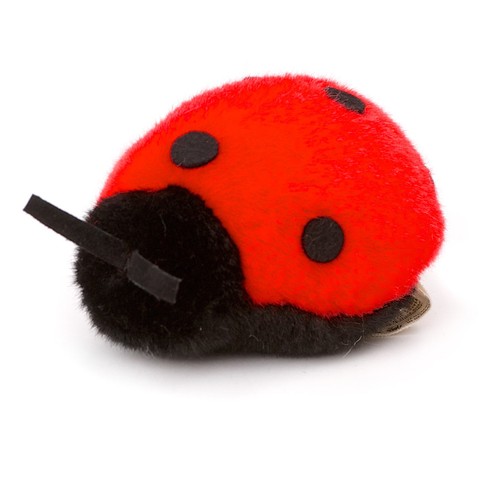 Roter marienkäfer kosen - -,