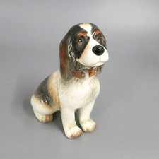 Hund spaniel goebel - hund, 15