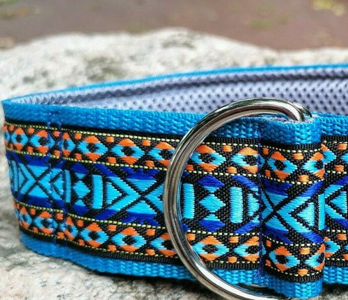 Hundehalsband mit polsterung - mit,