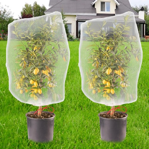 Pflanzenschutznetz 2 pack - -,