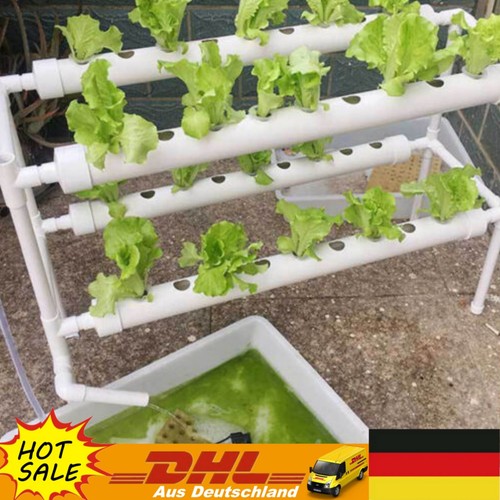 Pflanz hydroponic grow - pflanz,
