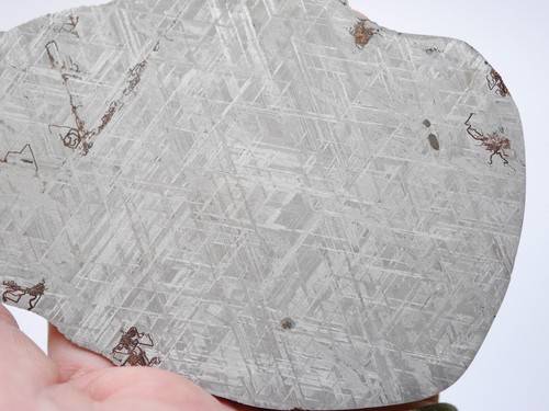 Fantastischer gibeon meteorit - gibeon,