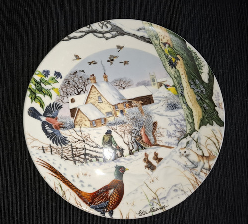 Wedgwood sammelteller the - sammelteller,