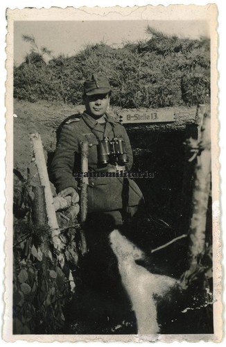 Orig foto feldwebel - feldwebel, m