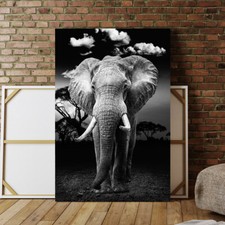 ACRYLGLAS WANDBILD ELEFANT