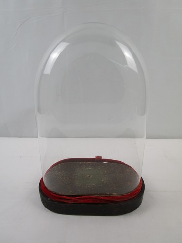 Glasdom stolp mit holzsockel - stolp,