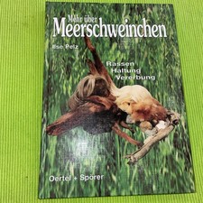 Mehr über Meerschweinchen