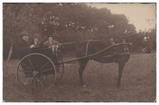 XX2544/ Kutsche  Einspänner Foto AK 1925