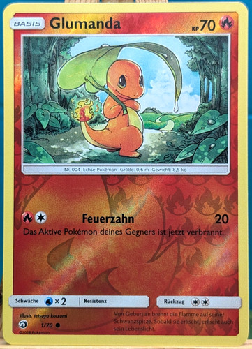 Pokemon majestät der - majestät,