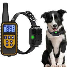 1000M Hund Ausbildung