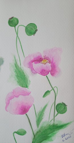 Bild selbstgemalte poppy - bild,