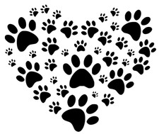 15 Tier Pferd Katze Hund Eule
