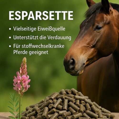 Esparsette pelletiert kg - pelletiert,