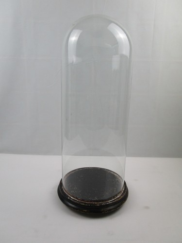 Glasdom stolp mit holzsockel - glasdom,