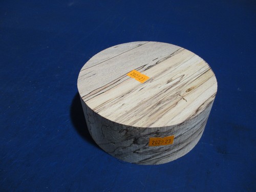 Buche verstockt rotbuche - ,