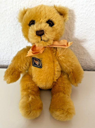 Schildkröt teddy bär braun - schildkröt,
