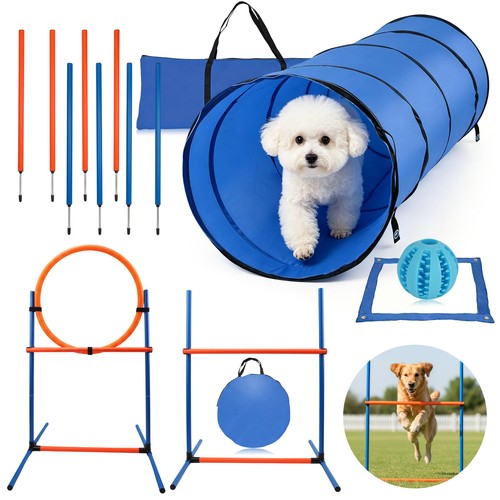 Agility set für hunde - set,