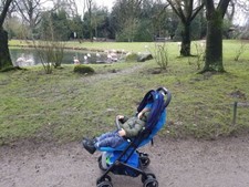 BG QBIT Plus Buggy, faltbar