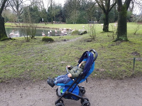 Qbit plus buggy faltbar - plus, buggy,