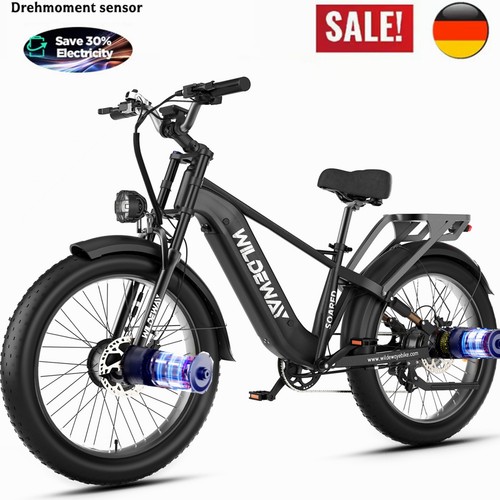 2000w dualmotor elektrisches - 2000w,