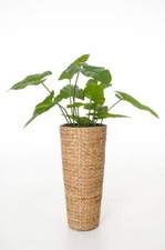 VIVANNO Blumenkübel aus Wasserhyazinthe "Classic Round" 60 cm, Natur