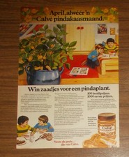 Seltene Werbung CALVE