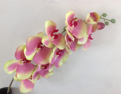 Orchideenzweig 107 grün - orchideenzweig,