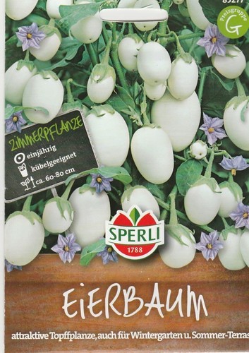 Eierbaum topfpflanze - eierbaum,