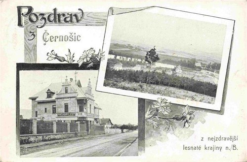 Cernosic cernosice cernositz - cernosic,