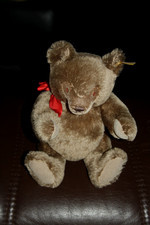 Steiff Teddybär, 30 cm groß