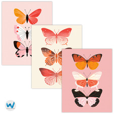 3er Set Schmetterling